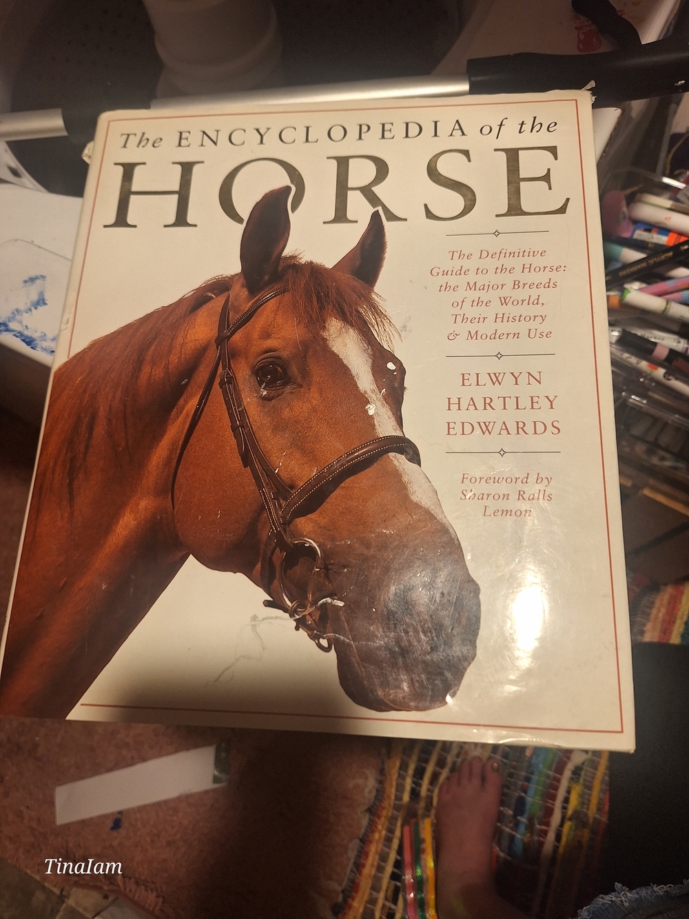 The Encyclopedia of the Horse - Perfect Condition
